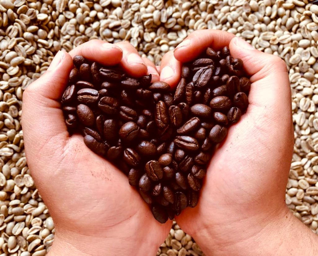 Cosecha de café